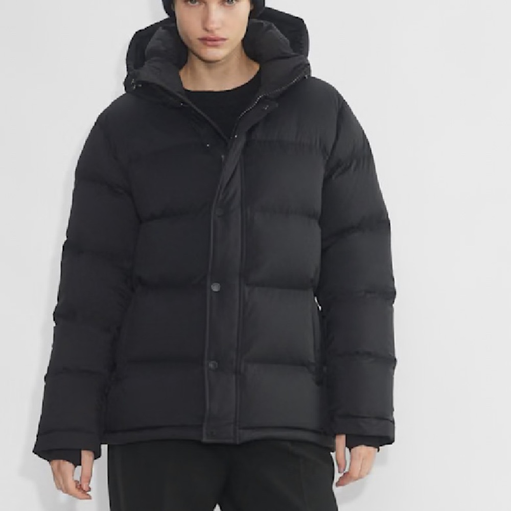 Aritzia super puff climate